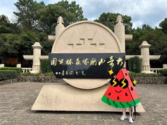-大奇山国家森林公园