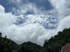 -龙苍沟森林公园