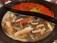 -朱光玉火锅馆(正弘城店)