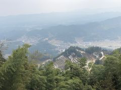 -紫鹊界梯田景区