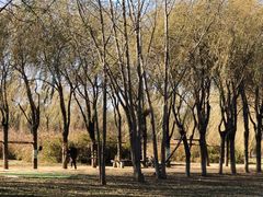 -东坝千亩湖公园