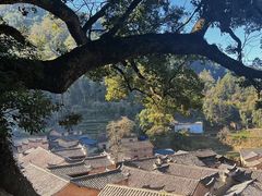 -杨家堂村