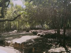 -兰亭风景区