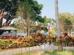 -龙佳生态温泉山庄