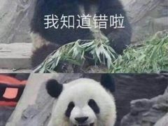 -云晓光头烧烤吧(德平路店)