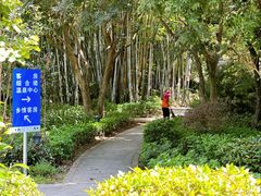 -林丰温泉度假山庄