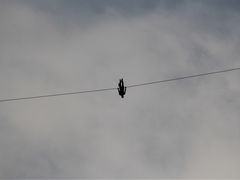 -雁荡山风景名胜区-小龙湫