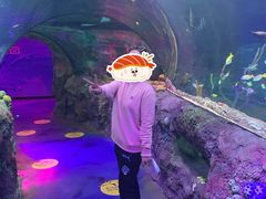 -沈阳海洋探索中心