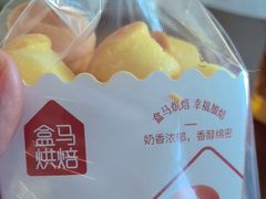 -盒马鲜生(枣园路店)