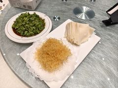 -丁老爷子苏香圆