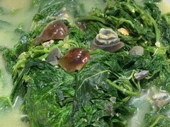 上汤浸桑叶-红日饭店(裕隆三路店)