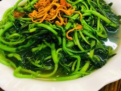 虫草花上汤时蔬-台山第一家兴华黄鳝饭·黄鳝婆(合水分店)