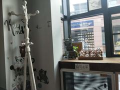 -吉丁鸟咖·异宠·寄养