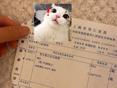 -泰康拜博口腔(世博园乐尔店)