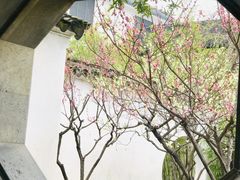 -原怡园面馆(拙政园店)