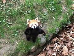 -西安秦岭野生动物园