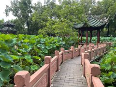 -房湖公园