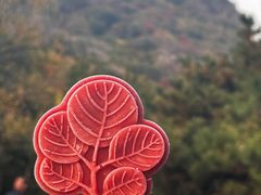-香山公园