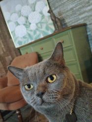 -青木造型HAIR·あおき髪を刈る潮人店