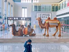 -敦煌莫高国际机场