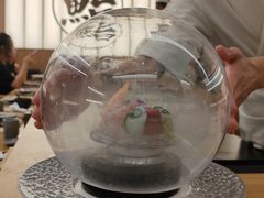-鮨政·Omakase(万象城店)