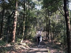 -西湖风景区十里琅珰-五云山