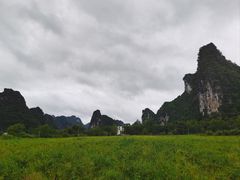 -明仕田园