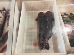 -王老六铁锅炖鱼(华阳路店)