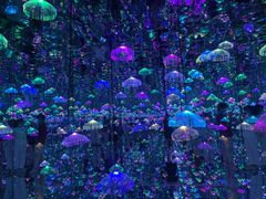 -深圳独角兽星空艺术馆