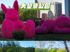 -大望京公园