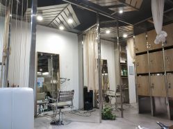 -MAGIC米几发型设计·羊毛卷