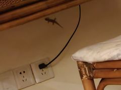 -三亚亚龙湾金棕榈度假酒店