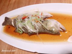 清蒸鲈鱼-一盐堂本帮菜(外滩店)