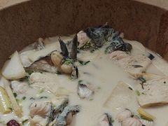 -云中鱼蒸汽石锅鱼(川沙百联店)