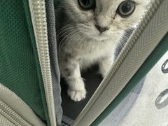 -天宠宠物医院24小时·急重症诊疗中心·全科·腔镜特色(和平分院)