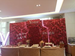 -Yestar艺星医疗美容医院