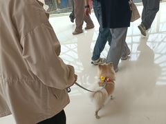 -万达广场(大明宫店)