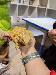 -酷嗒动物文化乐园(cutezoo西溪乐天城店)