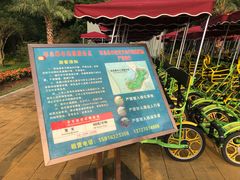 -野狸岛