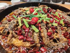 -老板恋上鱼(恒隆广场店)