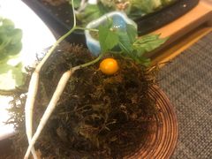 -Yeyije 韩定食