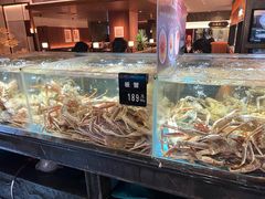 -紫阳海鲜楼·传承闽味(长乐路总店)