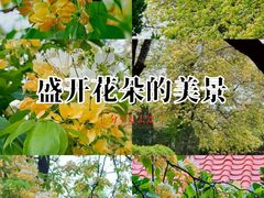 -星海公园(番禺区)