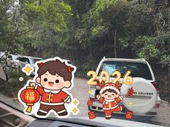 -海南热带雨林国家公园吊罗山景区