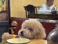 -廖哥泡椒兔(峨眉店)