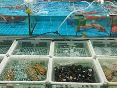 -先锋海鲜市场