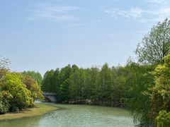 -上海海湾国家森林公园