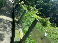 -淹城春秋乐园