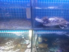 -面道赞宁海海鲜面(迎凤街店)