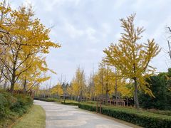 -黄兴公园